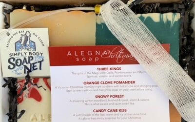 Christmas Box Alegna Soap